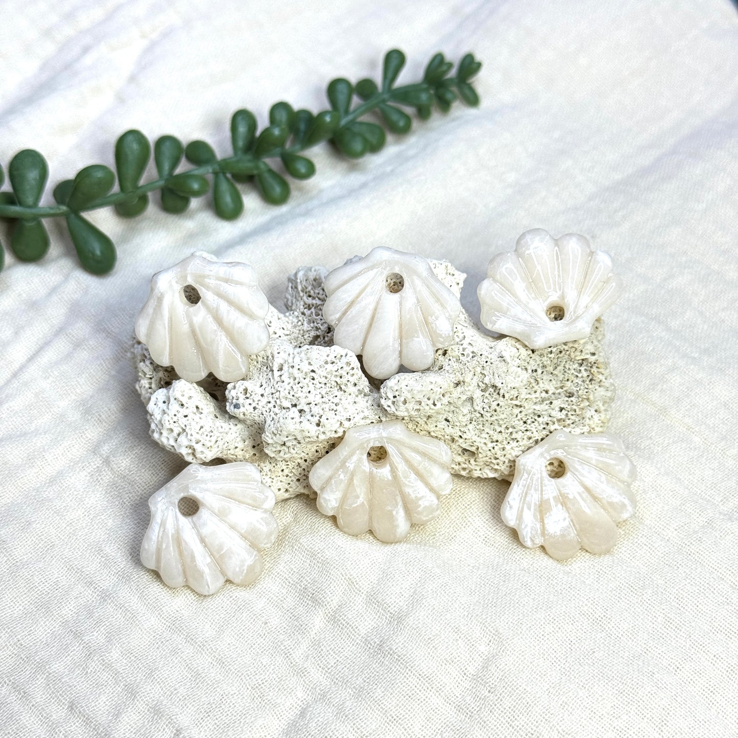 Shell